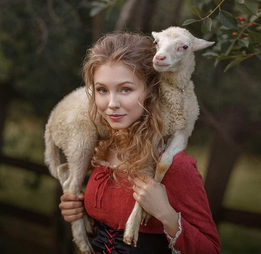 ���������